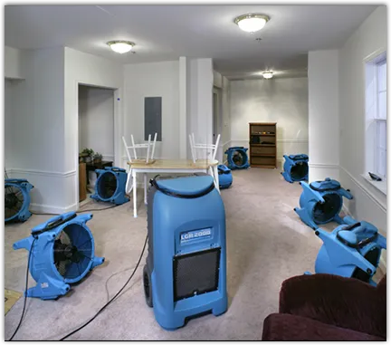 Water Mitigation Services in Tucson, AZ